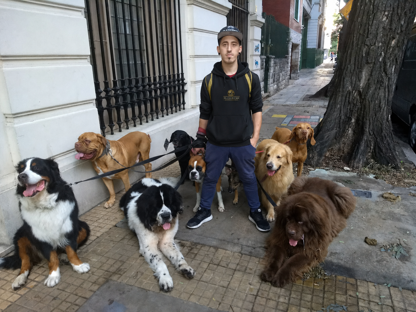 Iván Manuso junto a una manada de El Club Can